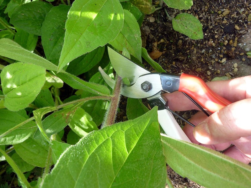 Okatsune 101 7-Inch Bypass Pruners - Durable Japanese Steel Gardening Tool - Image 2